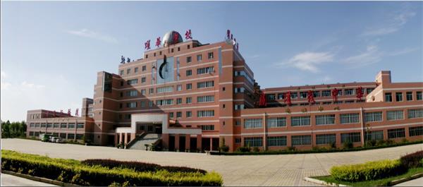 德州學幼師為什么選擇德州躍華學校？