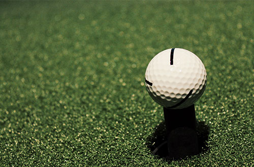 現(xiàn)在高爾夫行業(yè)發(fā)展怎么樣？有哪家學(xué)?？梢詫W(xué)？