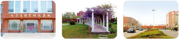 為什么那么多人想成為郵輪乘務(wù)人員？