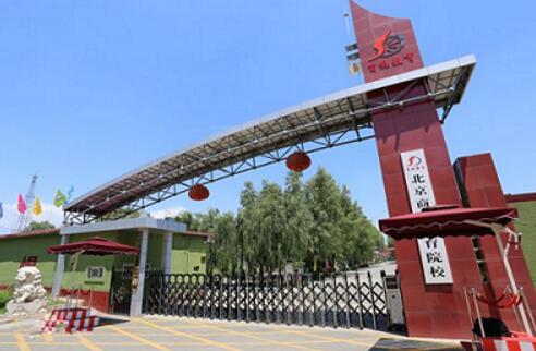 北京商鯤學(xué)院可以學(xué)習(xí)高鐵乘務(wù)專業(yè)嗎？