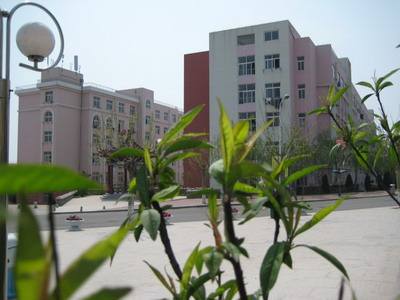 青島影視學(xué)校好嗎？