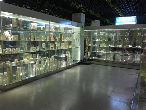 山東人民學院有沒有就業(yè)保障？