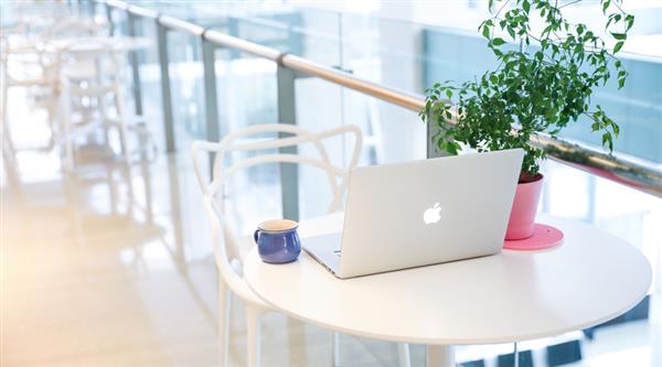 臨沂技師學(xué)院為你分享計算機(jī)二級都考些什么？