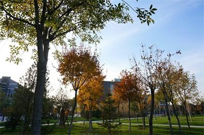 陽光傳媒教育學(xué)校播音與主持藝術(shù)專業(yè)好不好？就業(yè)情況如何？