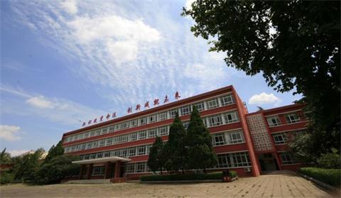 906189021020210323170203_3713 906189021020210323170203_3713