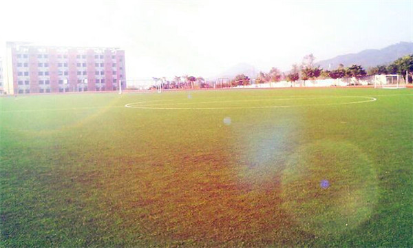 泰山護(hù)理職業(yè)學(xué)院怎么樣？