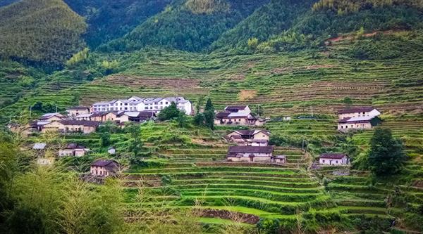 農(nóng)村經(jīng)濟綜合管理專業(yè)怎么樣？山東威海外國語進修學(xué)院帶你了解一下！