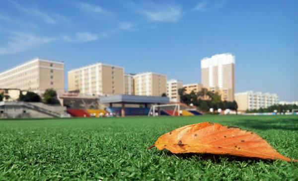 東營市技師學(xué)院怎么樣？