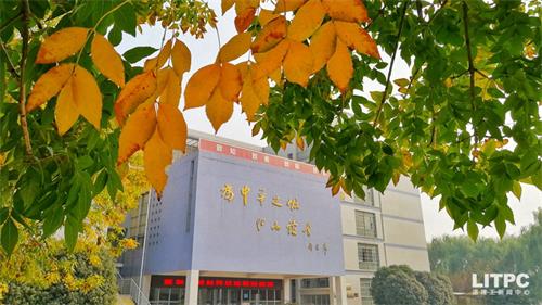 洛陽學(xué)電子商務(wù)去哪里？學(xué)電子商務(wù)去洛陽哪所學(xué)校？