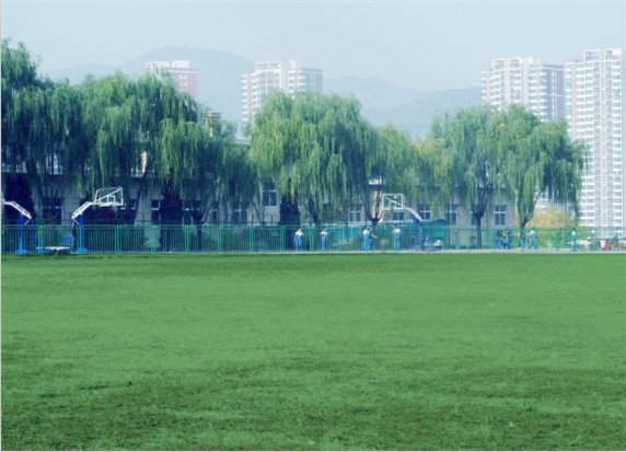 青島滿天星職業(yè)培訓(xùn)學(xué)校怎么樣？