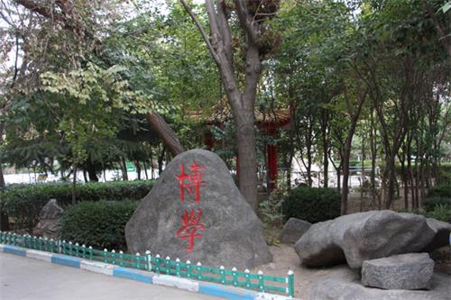 山東人民專修學院值得報名嗎？