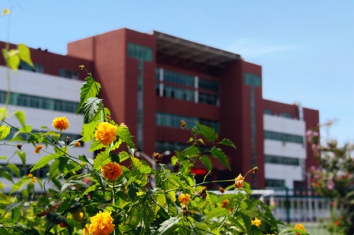 石家莊經(jīng)濟0