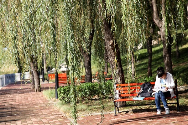 838172882620180131171630_4005 838172882620180131171630_4005