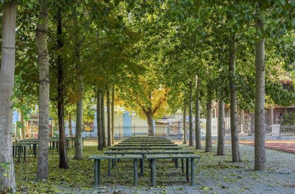 山東電子職業(yè)技術(shù)學(xué)院哪里好？