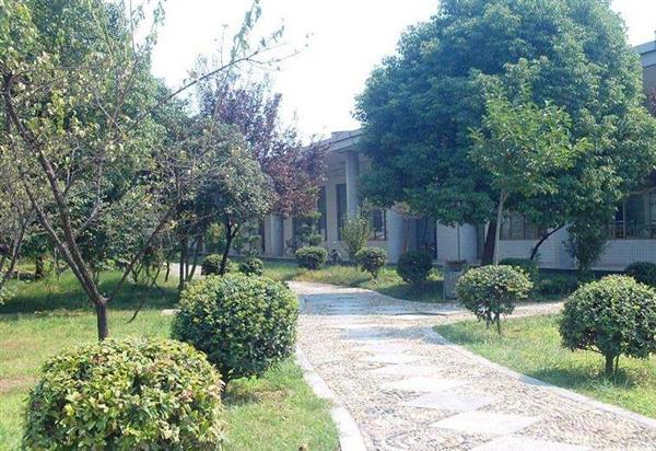 山東圣翰財(cái)貿(mào)職業(yè)學(xué)院都有哪些專業(yè)可以選擇？