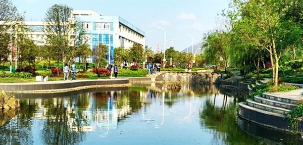 山東哪所學(xué)校有口腔醫(yī)學(xué)專業(yè)？