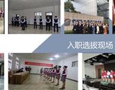 專(zhuān)業(yè)設(shè)置