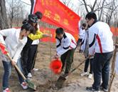石家莊經(jīng)濟職業(yè)學院