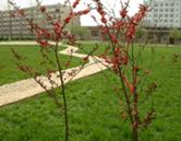 河南省商務(wù)學(xué)校