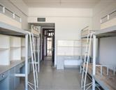 洛陽(yáng)職業(yè)技術(shù)學(xué)院