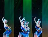 藝術(shù)專(zhuān)業(yè)