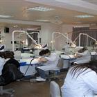 口腔醫(yī)學(xué)（專、本科）