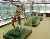 山東煤炭衛(wèi)生學(xué)校（濟(jì)南校區(qū)）實(shí)驗(yàn)室、宿舍